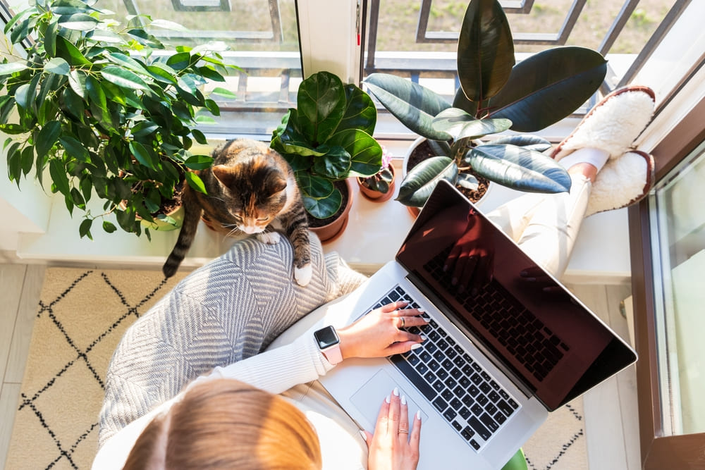 Woman working from home without a proper workspace and with cat distracting her