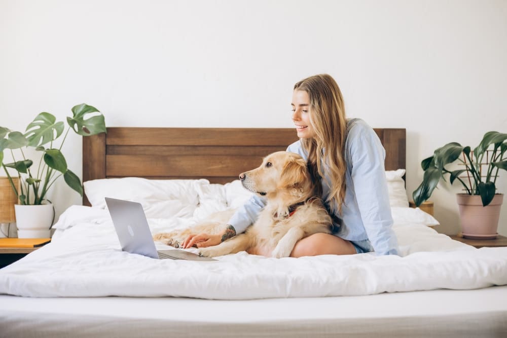 Woman working from her bed, which causes work stress and burnout
